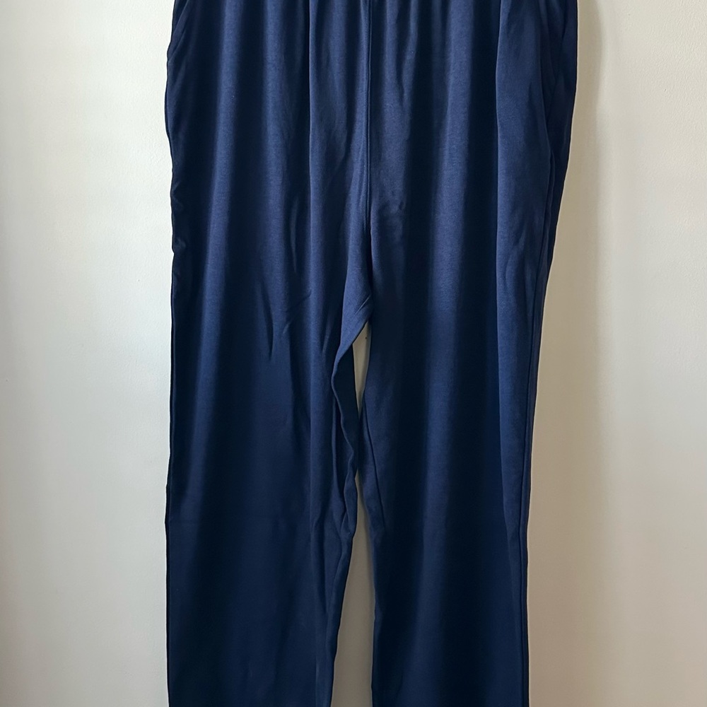 BLAIR WOMENS LARGE BLUE ESSENTIAL KNIT PULL ON PANTS